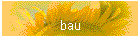 bau